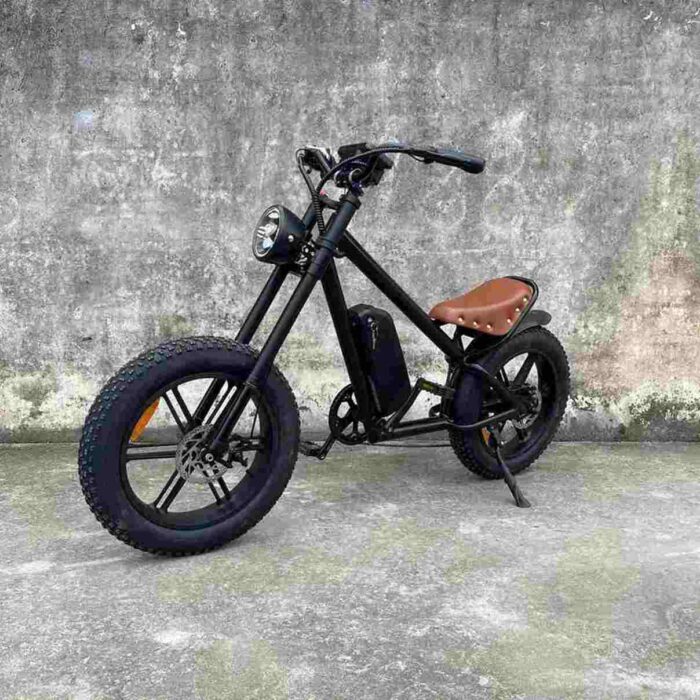 commuter ebikes factory OEM China Wholesale