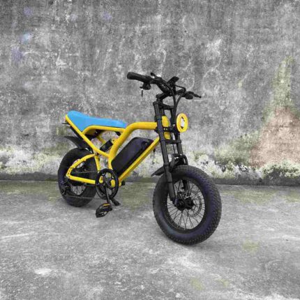 electric bike with passenger seat factory OEM China Wholesale