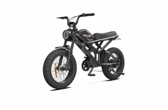 electric cargo bike factory OEM China Wholesale