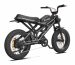 29 inch electric bike factory OEM China Wholesale