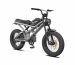 3 wheel electric bike for 2 adults factory OEM China Wholesale