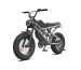 750w ebike factory OEM China Wholesale