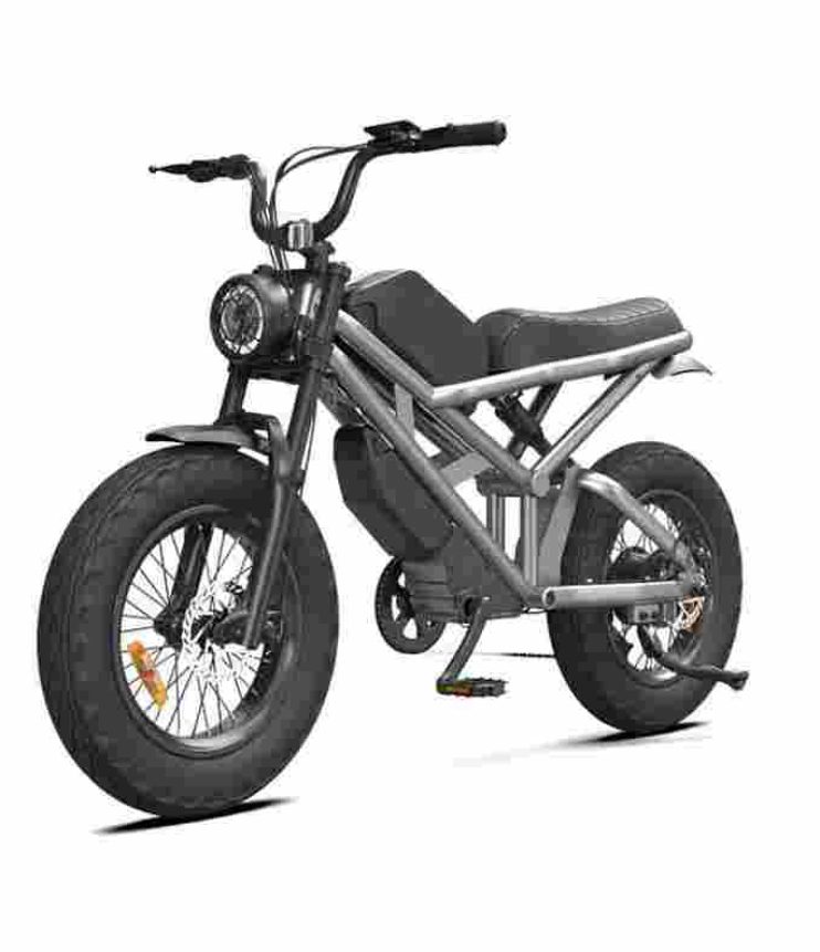 750w ebike factory OEM China Wholesale