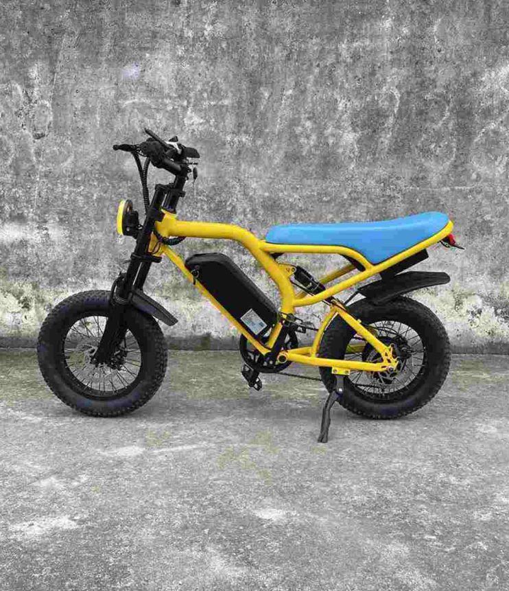 best fat tire ebike factory OEM China Wholesale