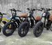 Coco Electric Bike factory OEM China Wholesale