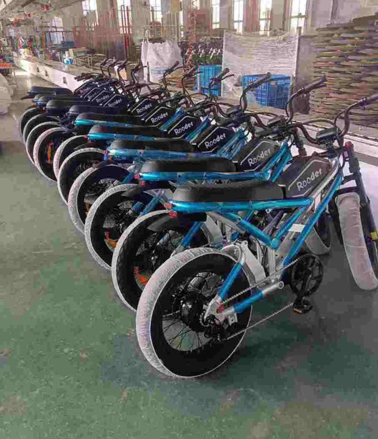 Custom Electric Bike factory OEM China Wholesale