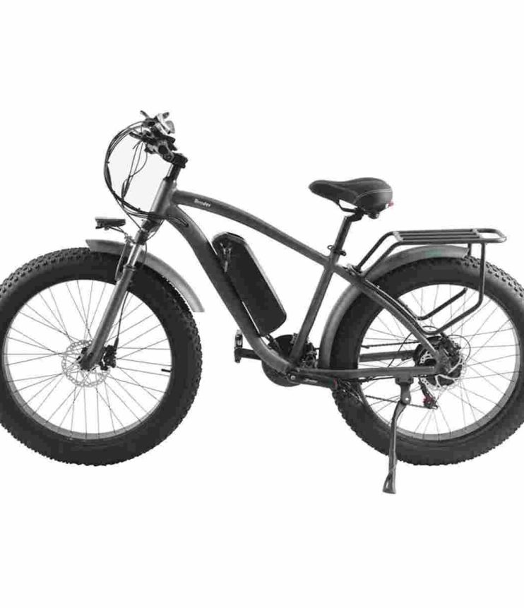 E Cycle Electric Bike factory OEM China Wholesale