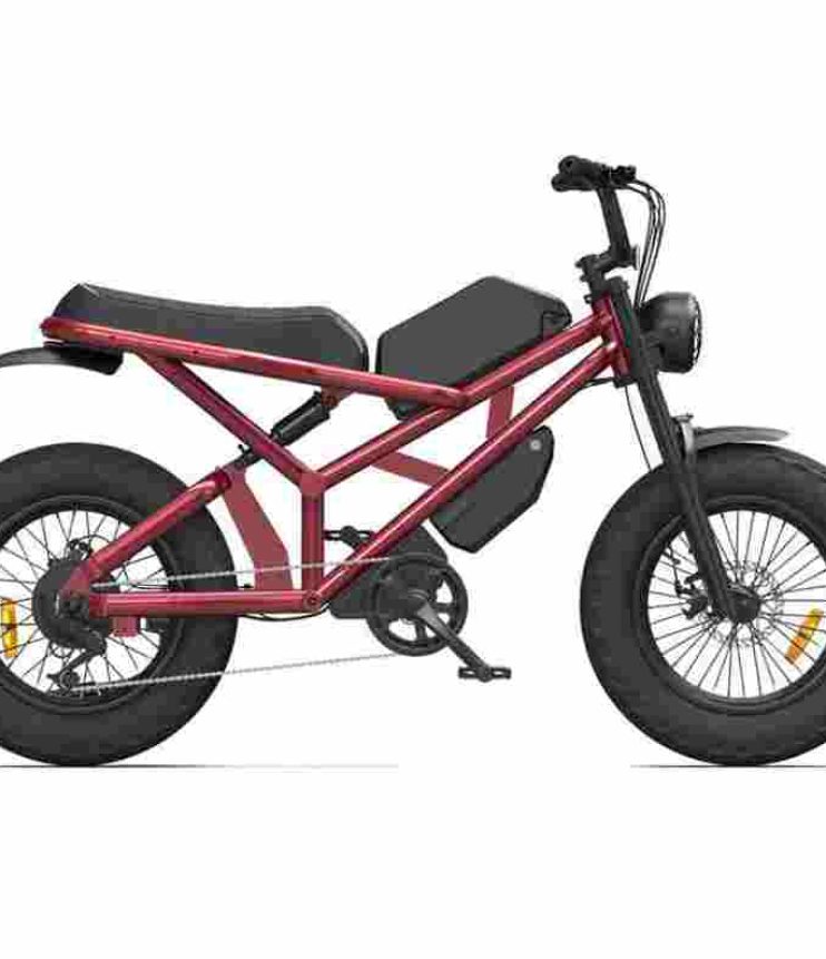 electric bicycle factory OEM China Wholesale