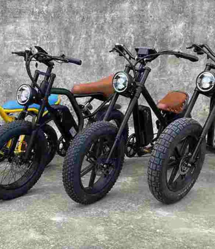 Electric Bike Adult factory OEM China Wholesale