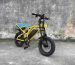 electric bike with passenger seat factory OEM China Wholesale