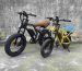 electric trike bike factory OEM China Wholesale